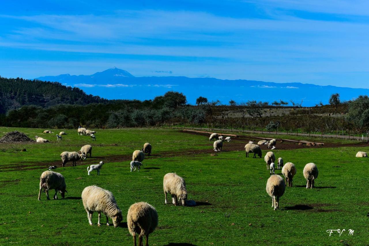 Casa Rural Zalemy San Pedro  Dış mekan fotoğraf