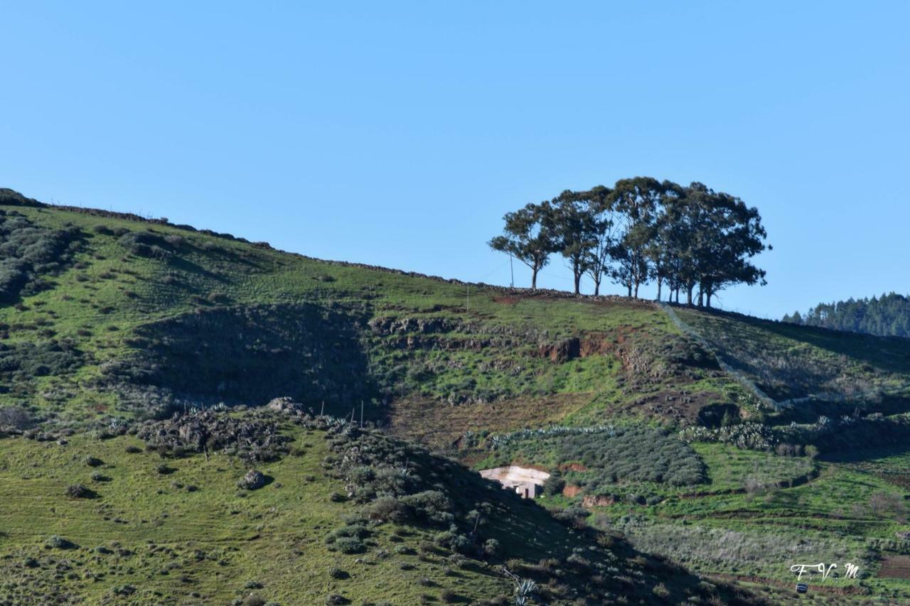 Casa Rural Zalemy San Pedro  Dış mekan fotoğraf